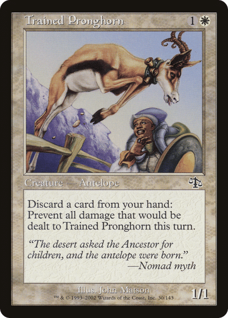 Trained Pronghorn (30) — Judgment