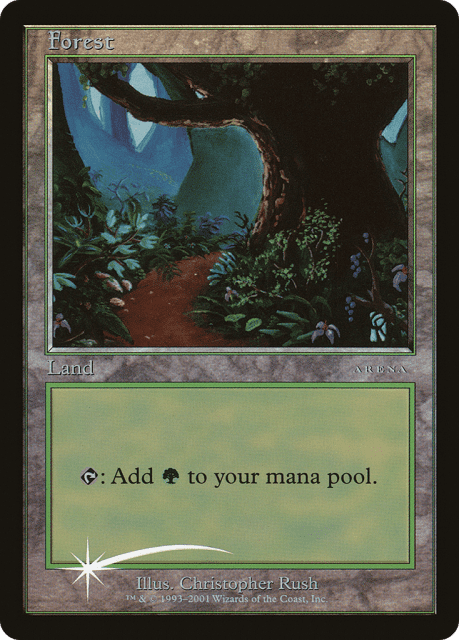 Forest (11) — Arena League 2001