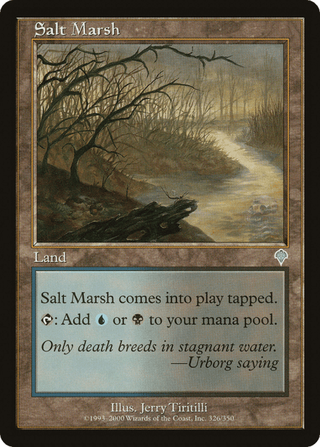 Salt Marsh (326) — Invasion