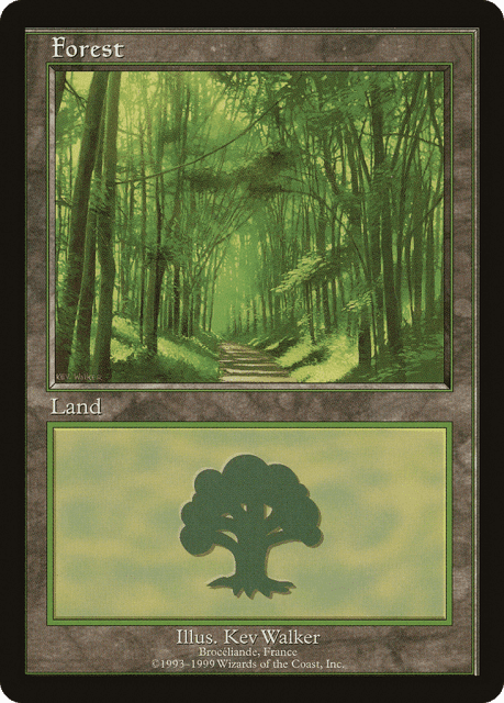 Forest (6) — European Land Program