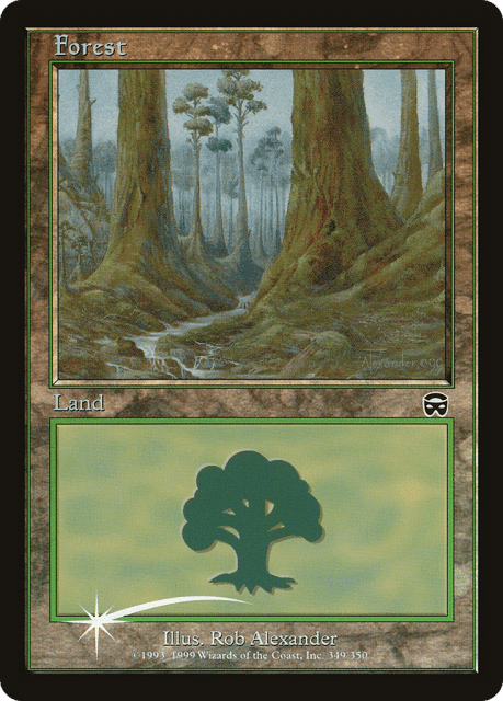 Forest (12) — Arena League 2000