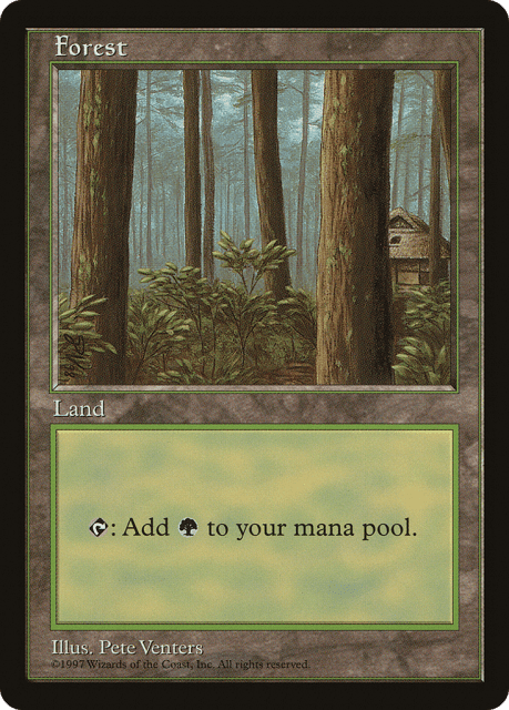 Forest (1) — Asia Pacific Land Program