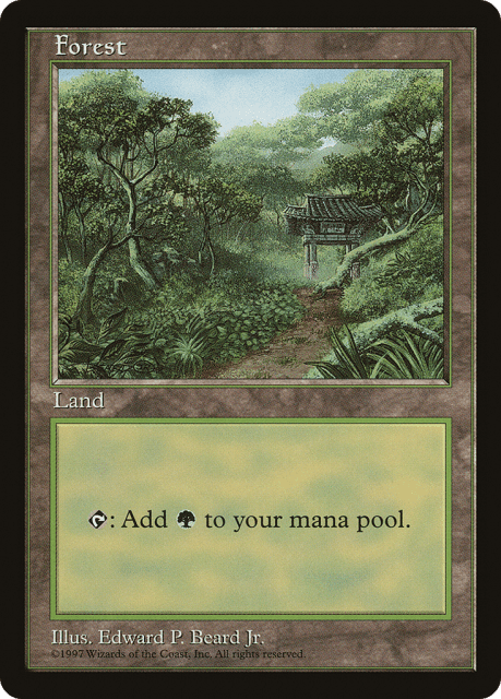 Forest (11) — Asia Pacific Land Program