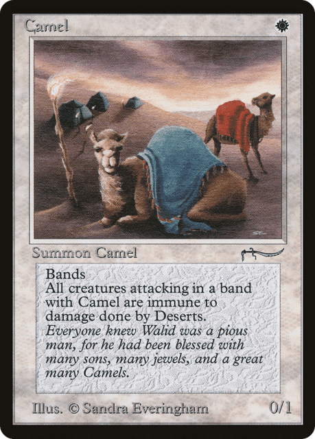 Camel (3) — Arabian Nights