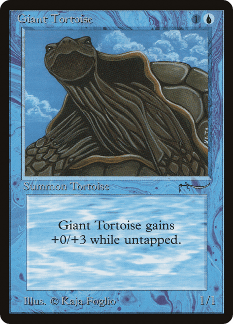 Giant Tortoise (15) — Arabian Nights