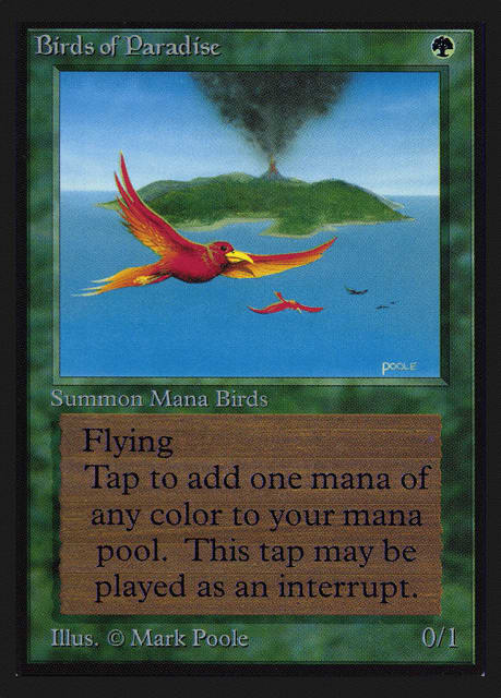 Birds of Paradise (187) — Collectors' Edition