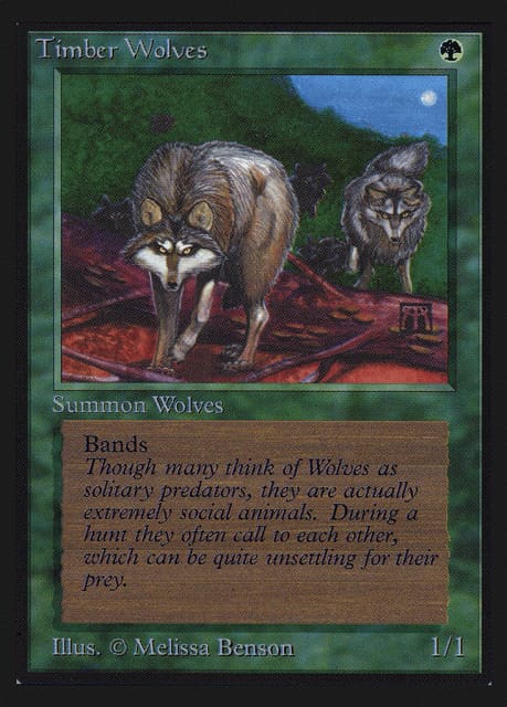 Timber Wolves (220) — Collectors' Edition