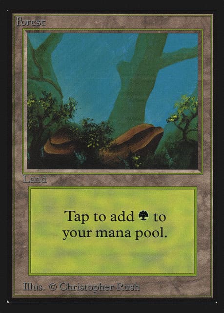 Forest (300) — Collectors' Edition