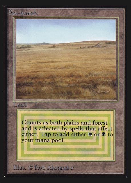 Savannah (281) — Intl. Collectors' Edition