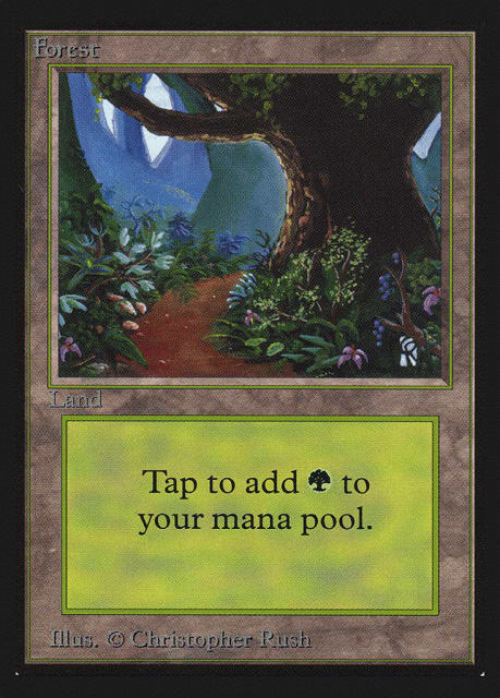 Forest (301) — Intl. Collectors' Edition