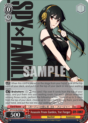 Assassin From Garden, Yor Forger — SPY x FAMILY