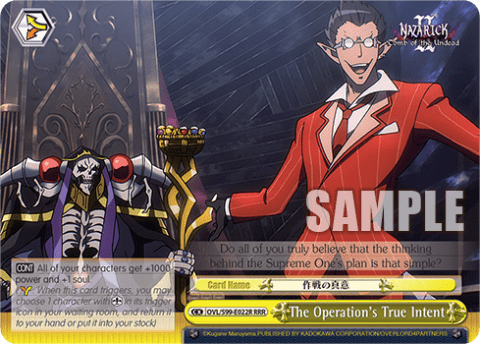 The Operation's True Intent — Nazarick: Tomb of the Undead Vol.2