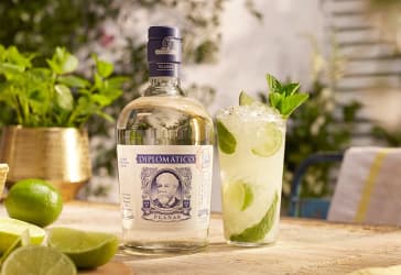 Diplomatico