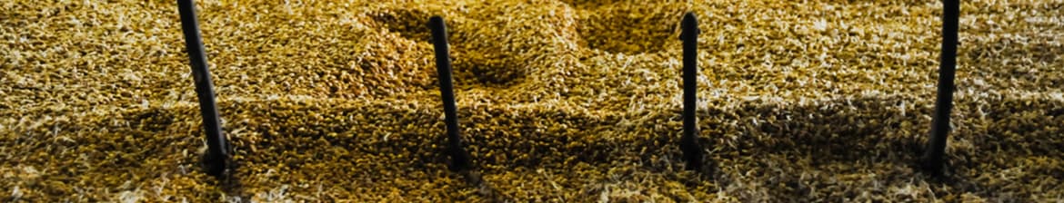 Tullamore Dew