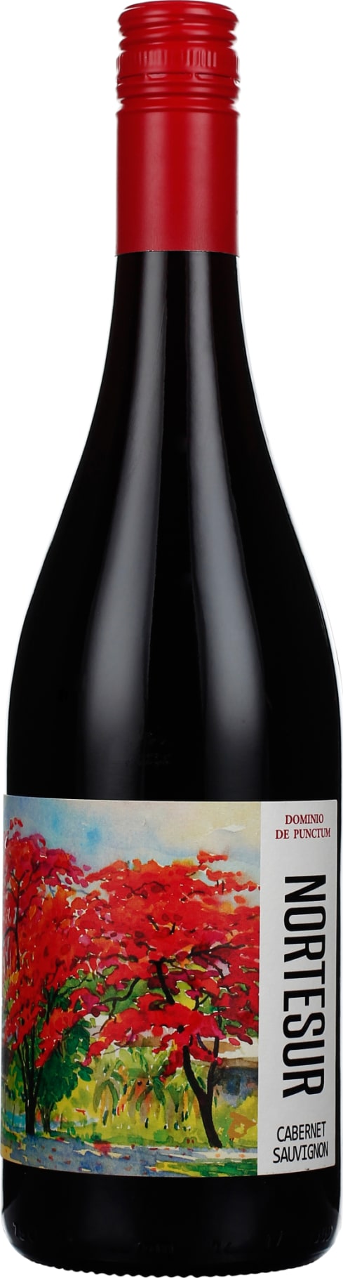 Product afbeelding: Punctum Norte Sur Cabernet Sauvignon