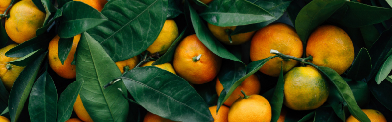 Tanqueray Flor de Sevilla - Banner