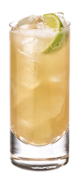 Jamaican Mule
