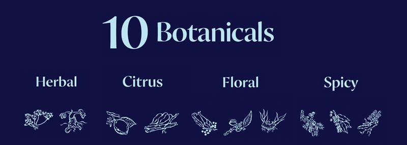 Bombay Sapphire gin botanicals