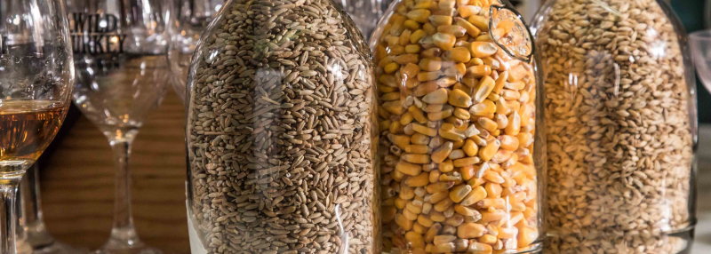 Graansoorten voor grain whisky