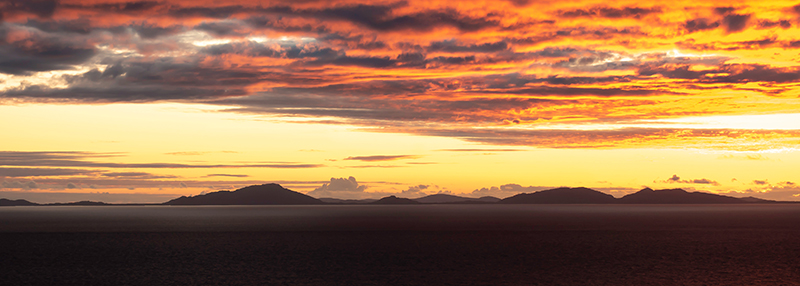 Islay Gold