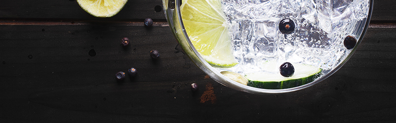 Le Tribute Gin - DrankDozijn banner