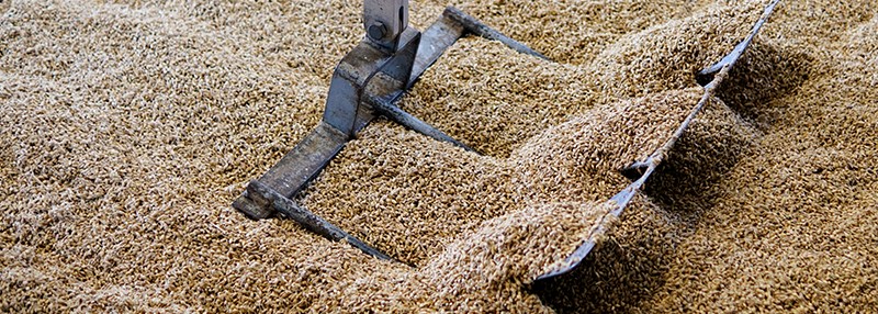mash cut graan