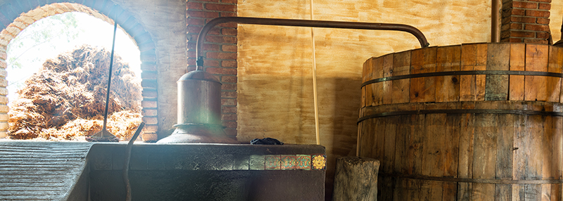 De ambachtelijke productie van mezcal