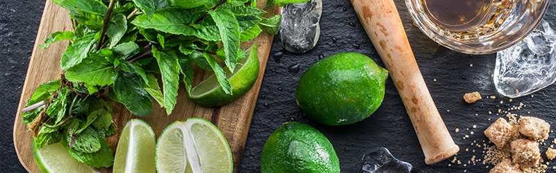 Mojito maken, lees ons blog, volg de stappen en succes is verzekerd!