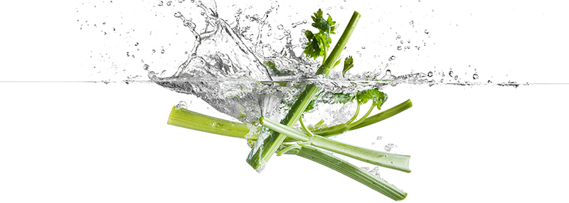 Selderij: een bijzonder ingrediënt van de Rutte Celery Gin