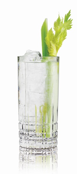 Maak een smaakvolle gin-tonic met Rutte Celery Gin