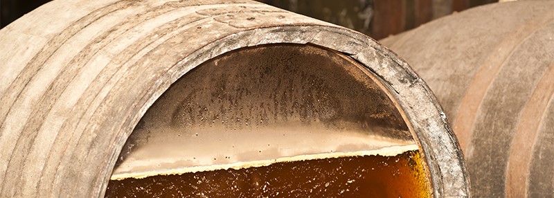 Gistcellen zijn een natuurlijk verschijnsel bij fino sherry