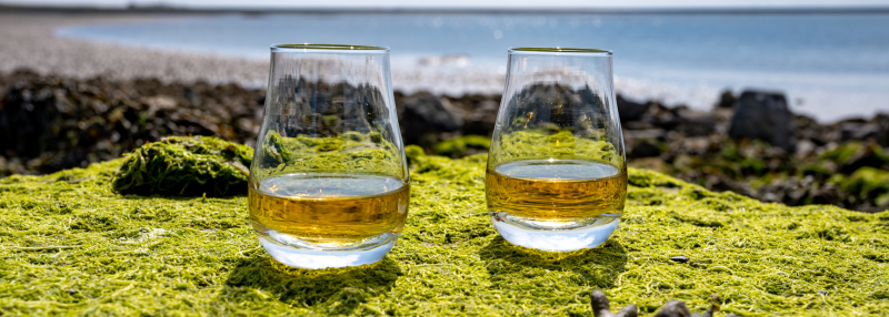 wat is single malt whisky?