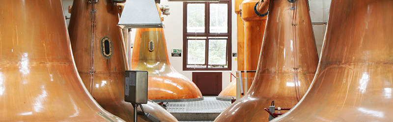 Singleton Malt Master - Banner