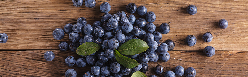 Sloe Gin Banner