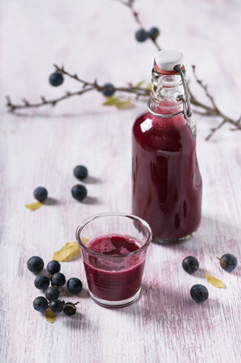 Sloe Gin Recept