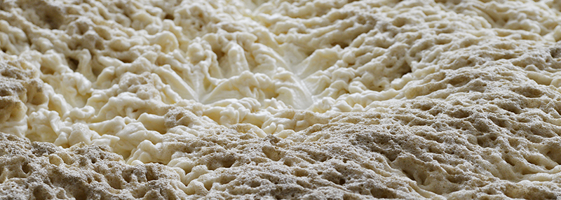 Gist vormt de ziel van het bier