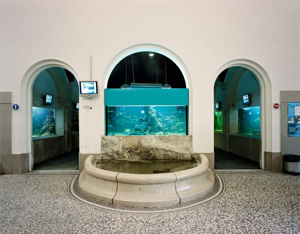 Inkomhal Aquarium