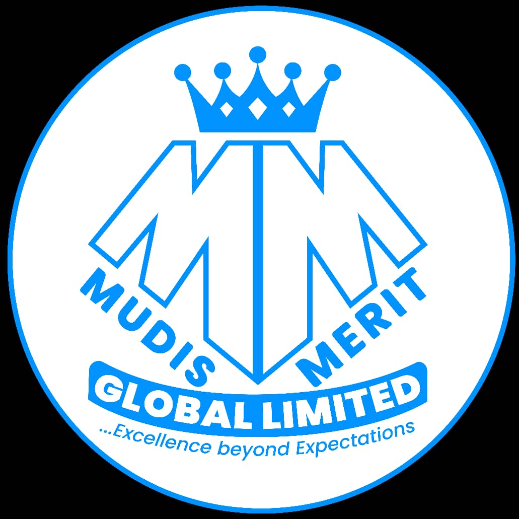 MUDIS MERIT GLOBAL LIMITED Logo