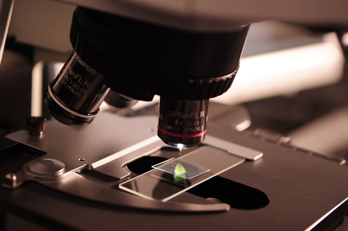 A microscope zooming on a sample.