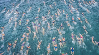 Une course de natation en eau vive. Pas de couloirs, tous les participants se ruent en même temps vers l'arrivée, quitte à entrer en collision.