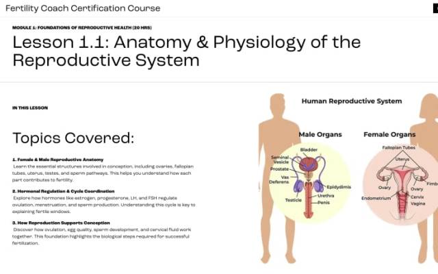 DNT Network Fertility Coach Certification