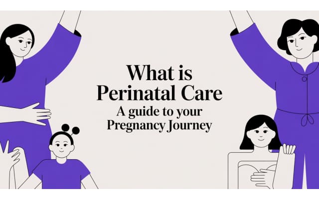 Your Guide Through the Journey of Pregnancy