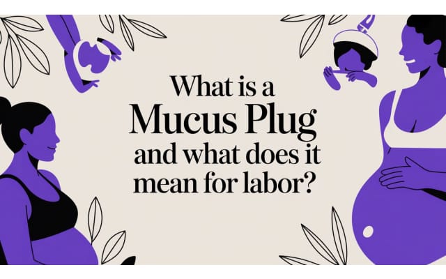 What Is a Mucus Plug? Color, Size & What Losing It Means