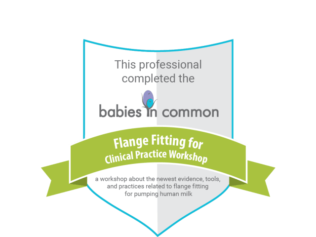 What I've learned through this training has led to me being able to greatly improve any mom's pumping experience!