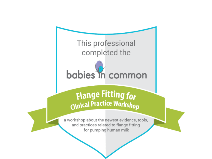 What I've learned through this training has led to me being able to greatly improve any mom's pumping experience!