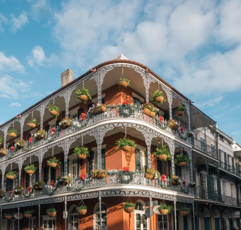 How to Find Doulas in New Orleans? (2024 Updates)