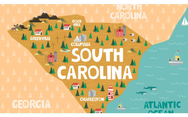 How Much Does a Midwife Cost in South Carolina? (2024 Updates)