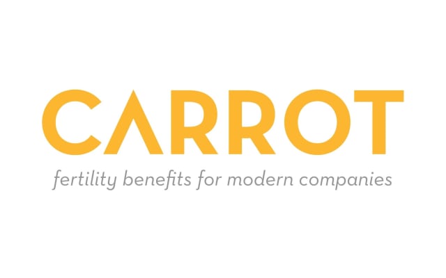 How to Carrot Night Nanny in 2024?