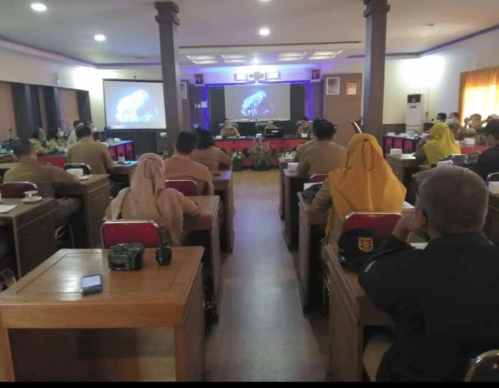MPP