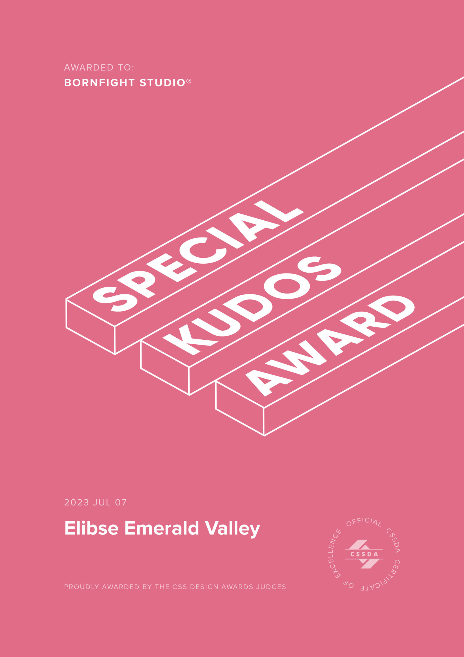 Special Kudos Award